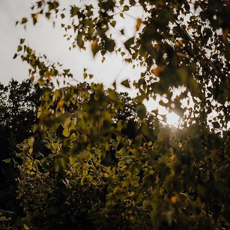 Cabana Paradisul Verde Neamt Targu Neamt Exteriér fotografie