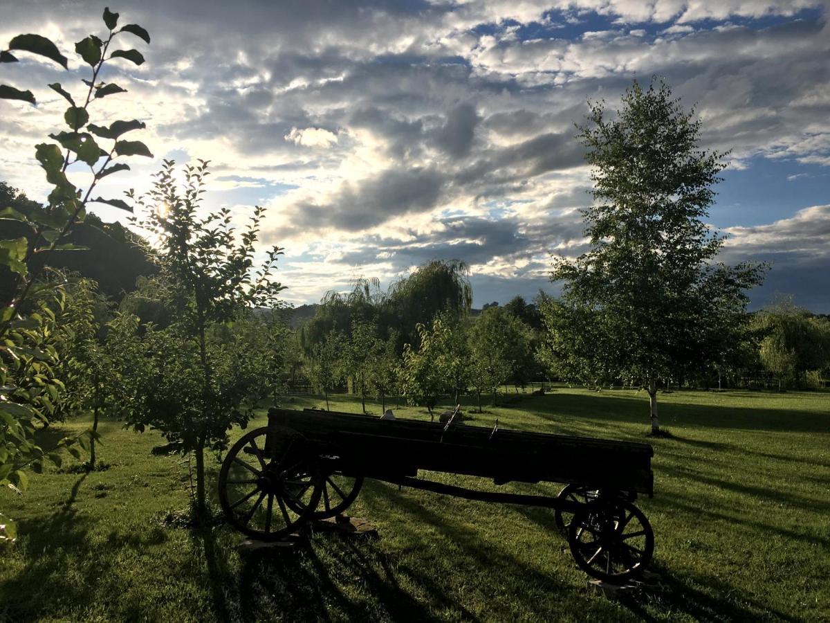 Cabana Paradisul Verde Neamt Targu Neamt Exteriér fotografie
